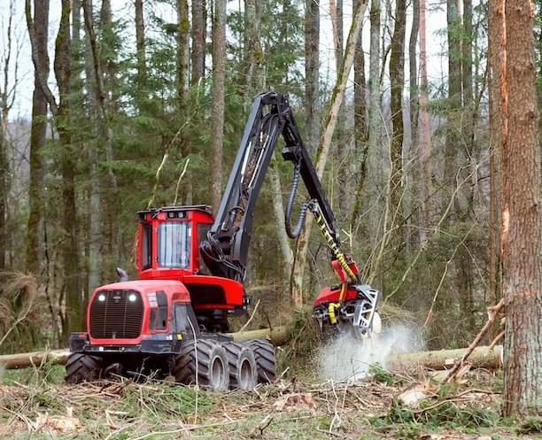 Purchase of felling sites